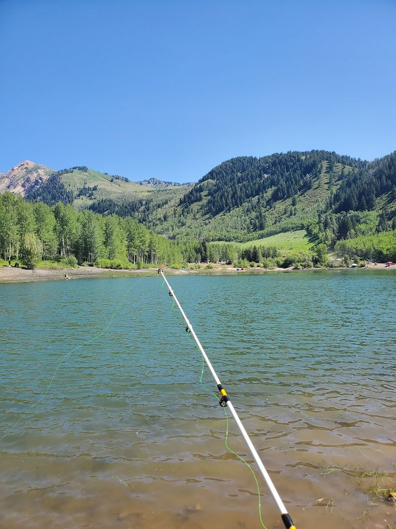 Fishing At The Reservoir: Honest Expectations Required