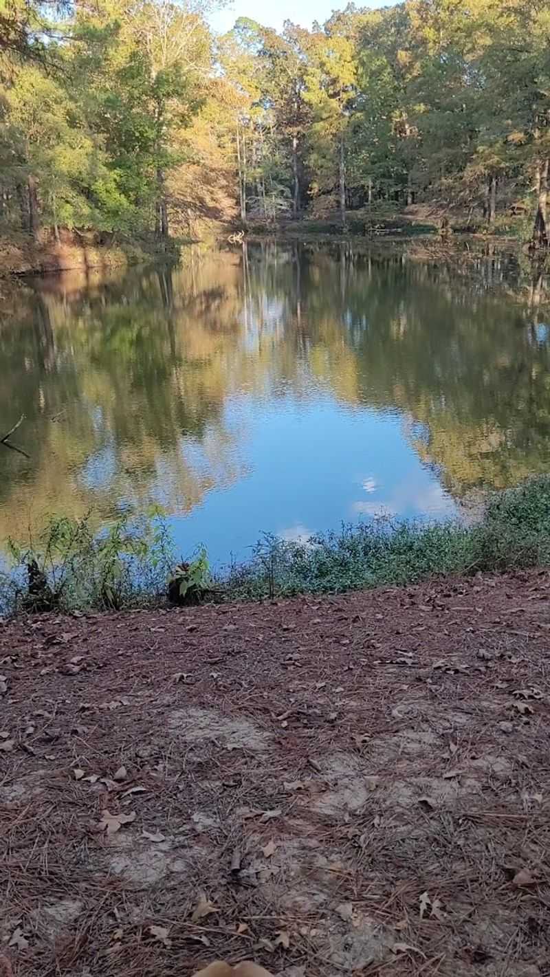 Birding And Best Times