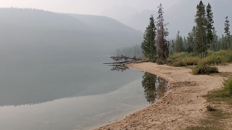 Fishing In A Lake That Delivers