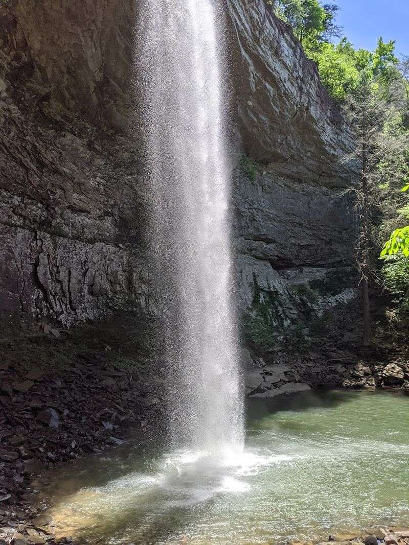 Swimming At The Base