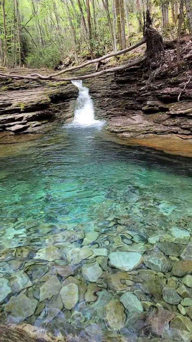 The Waterfall You Meet Before The Bathtub