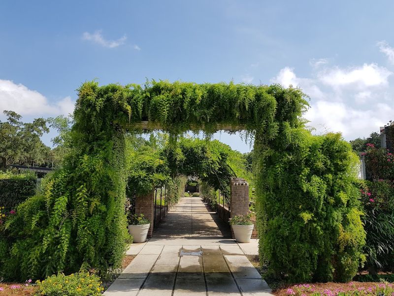 Butterfly Walk And The Hummingbird Garden