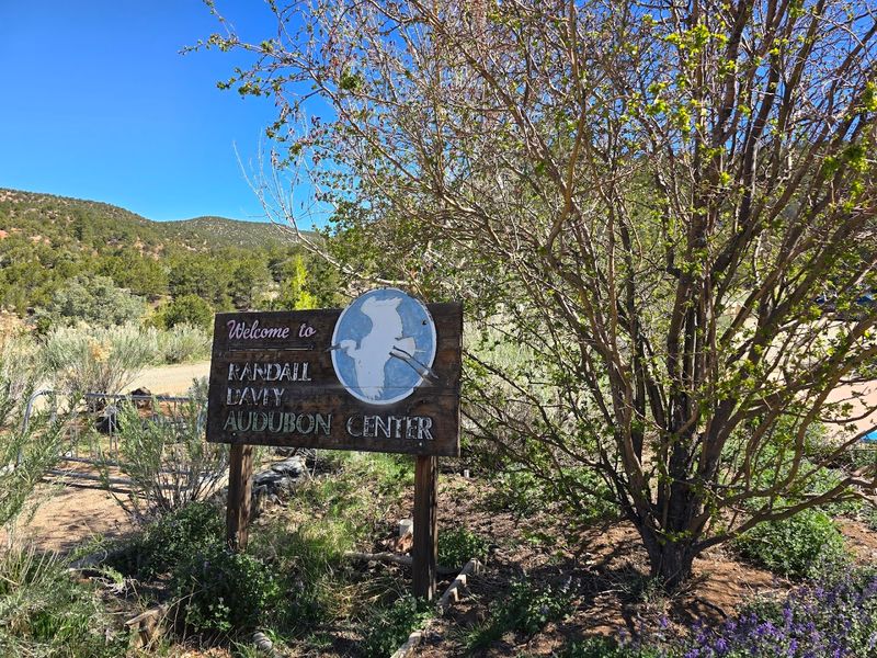 A Green Refuge Beyond The Road