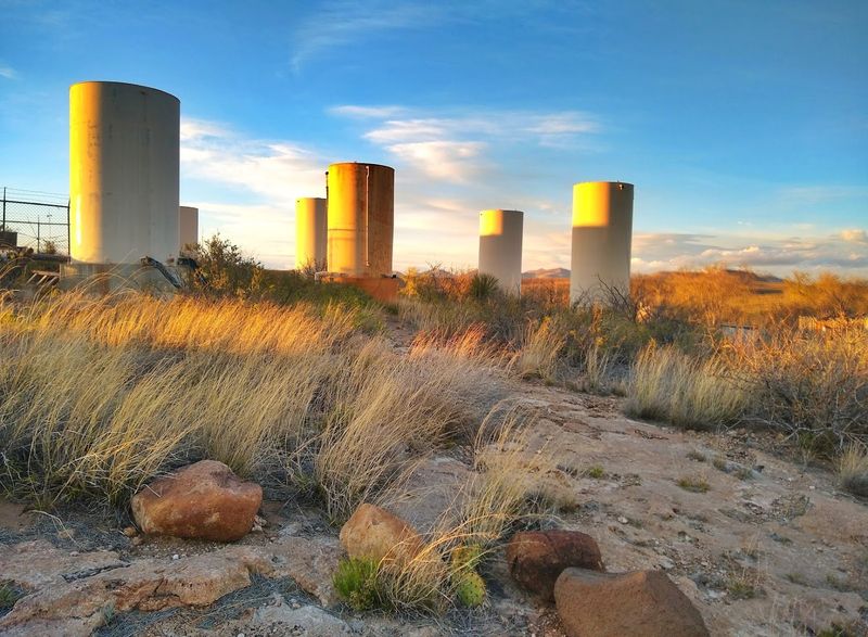 Golden Light Across The Desert Grounds