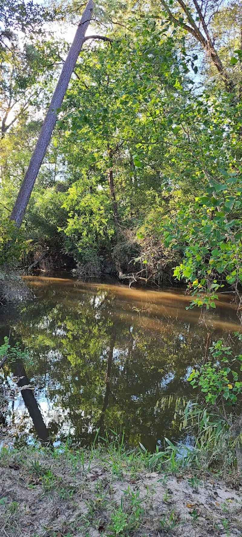 Preservation And Leave No Trace