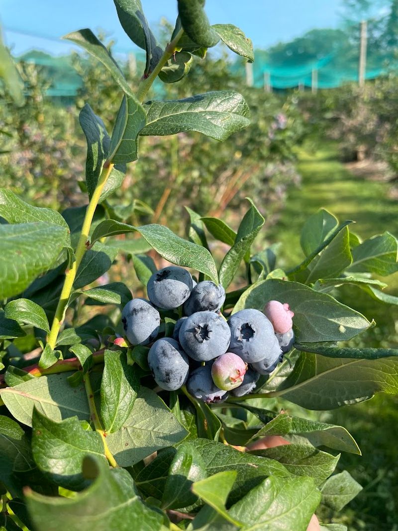 A First-Generation Farm With A Story Worth Knowing