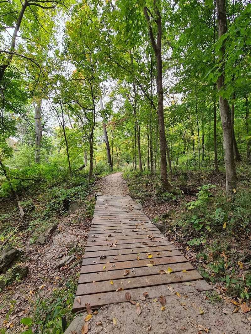 Bringing Dogs and Families to the Trails