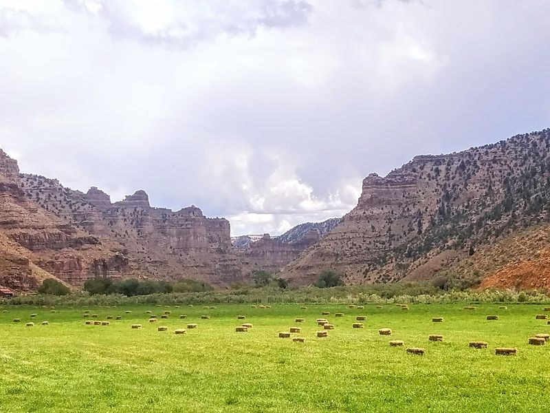 The Canyon Halfway Through Surprises You Again