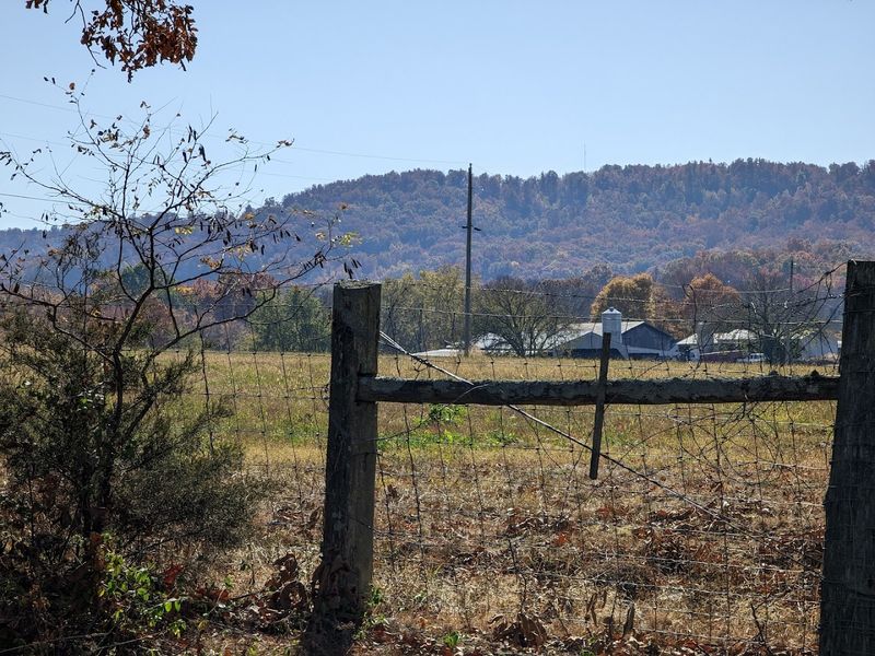 Fall Color Season And Why Timing Your Visit Pays Off