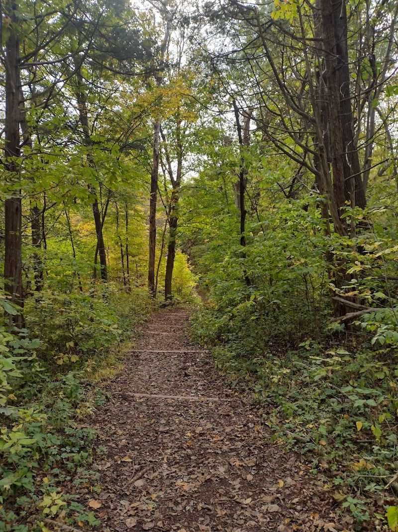 Why Families And Solo Hikers Both Love It