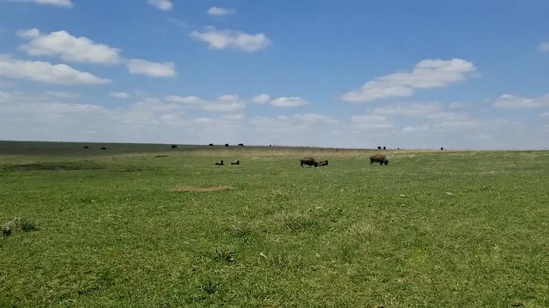 Why This Place Matters More Than It Gets Credit For