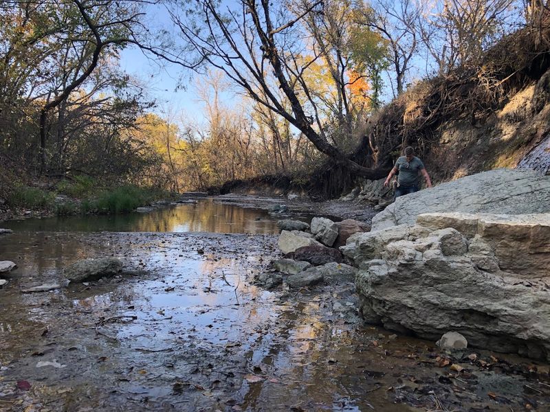 Wildlife And Nature Along The Creek Corridor
