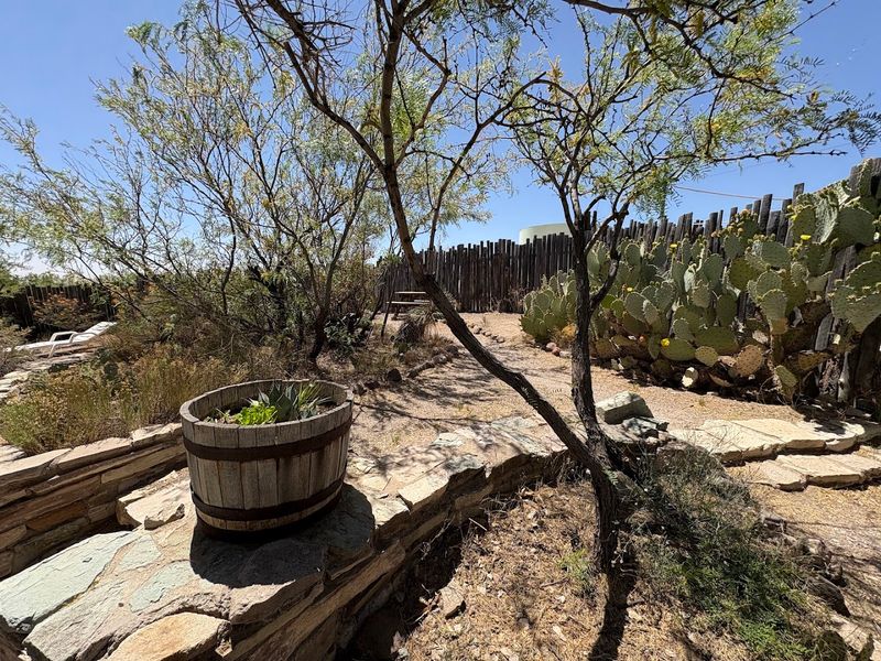 A Remote Oasis With Relaxed Desert Charm