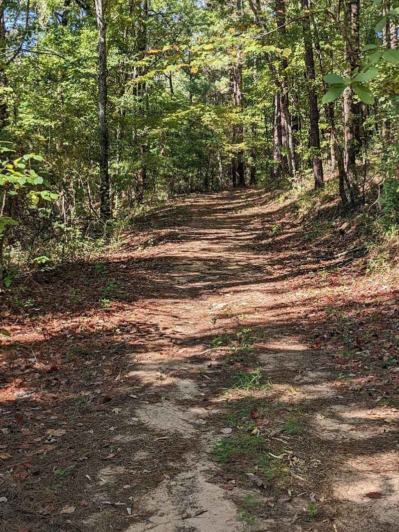 First Impressions Along The Route