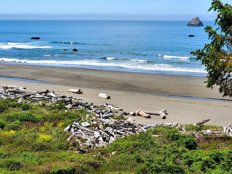 A Coastline Worth Exploring