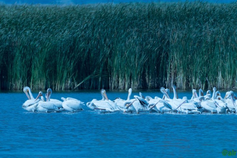 Water Levels Shape Everything About The Experience