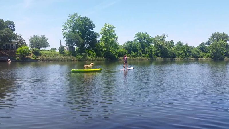 Enjoy Outdoor Activities On The Lake