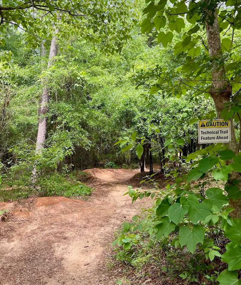Watch For Wildlife - Thoughtful Distance