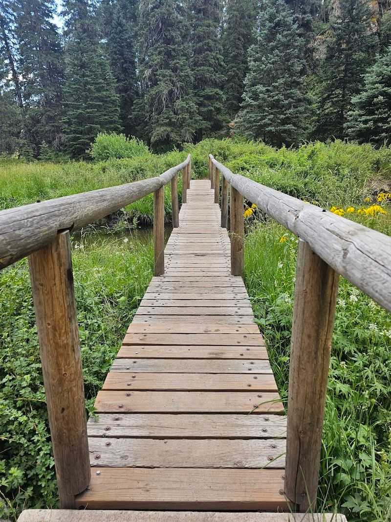 Open Meadows Beneath Big Mountain Skies
