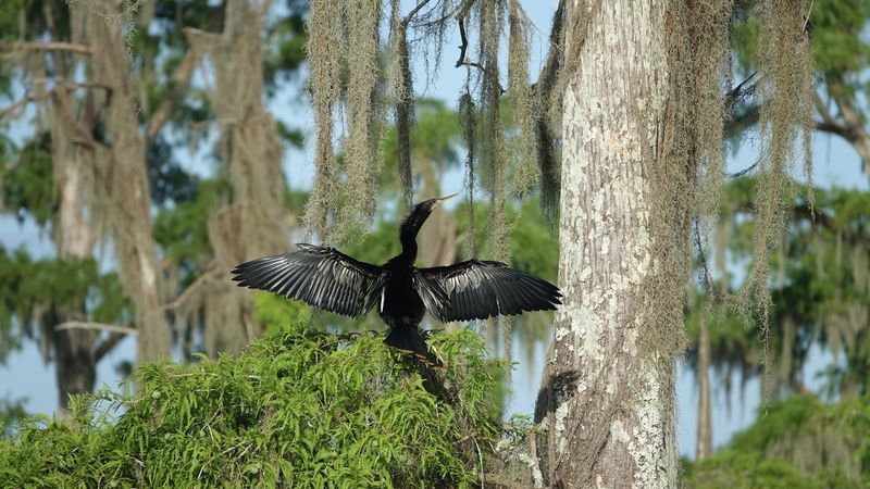 Birdwatching Paradise: Come Prepared
