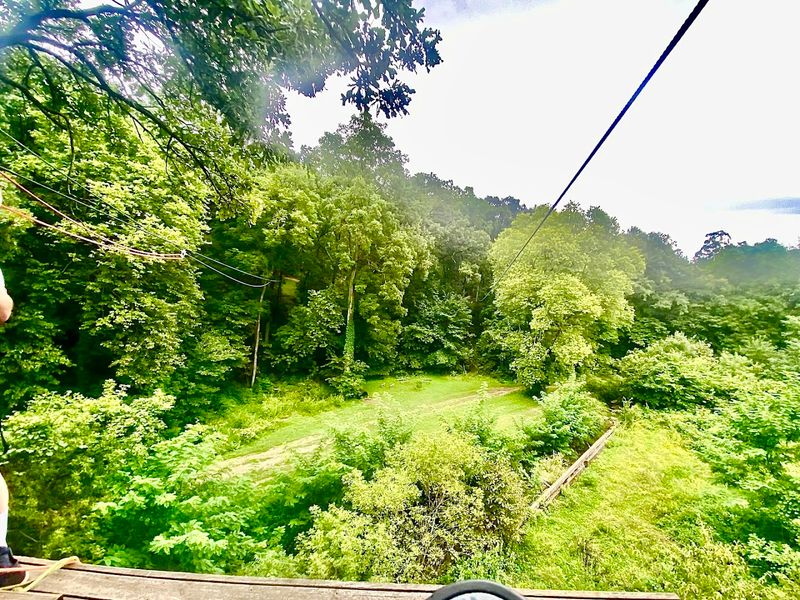 Planning Your Visit and Making the Most of the Trip