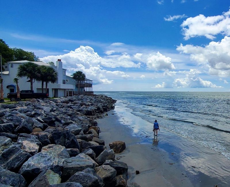 The St. Simons Land Trust And The Fight For Open Space