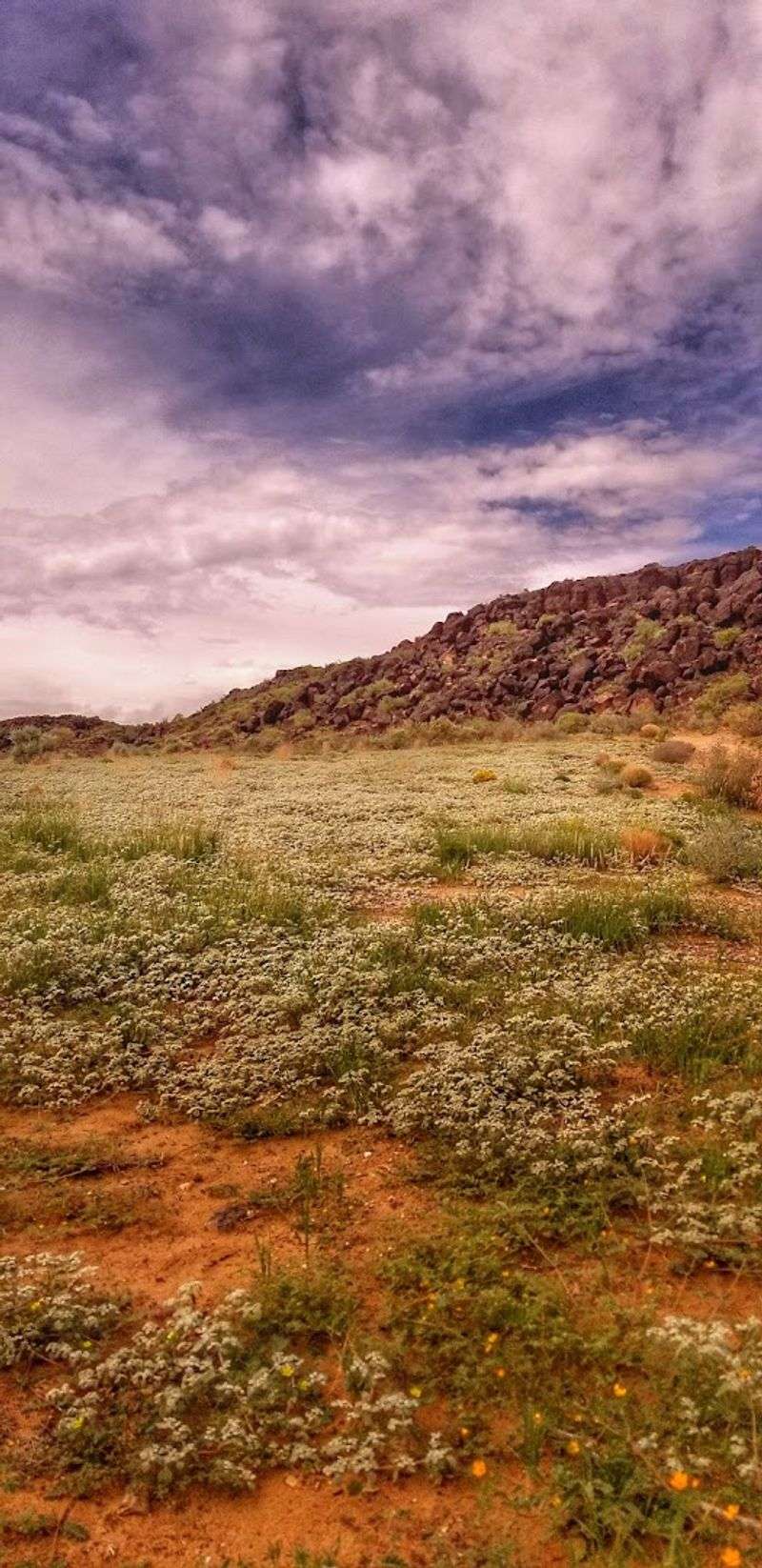 Where Desert Light Meets History