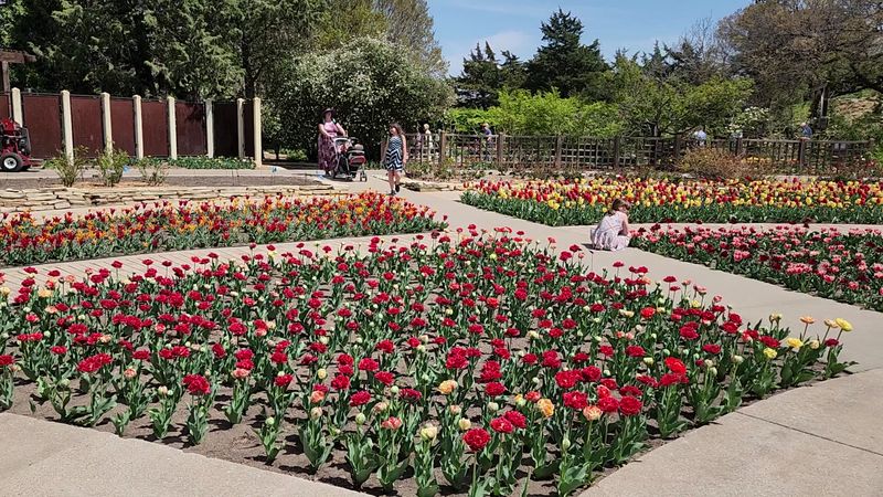 Seasonal Blooms That Repaint The Garden Every Few Months