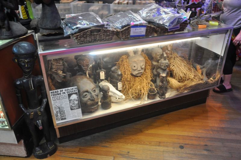 Preservation And Display Techniques