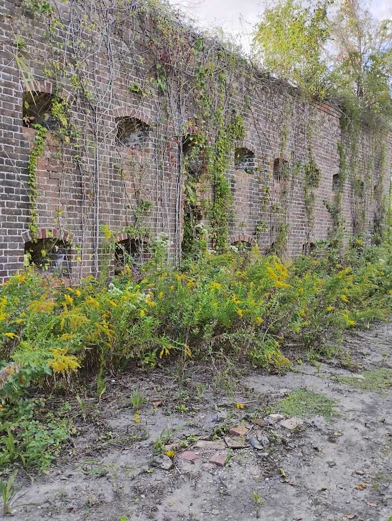 Preservation And The Future