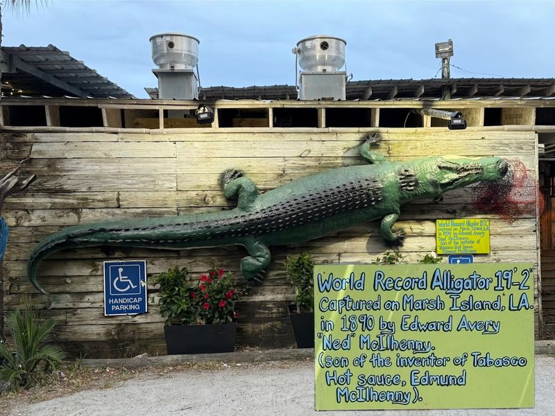 The Gator Lagoon Alone Is Worth The Drive
