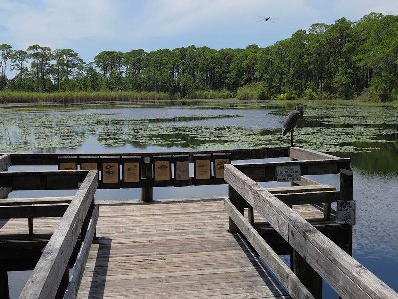 A Birder's True Paradise