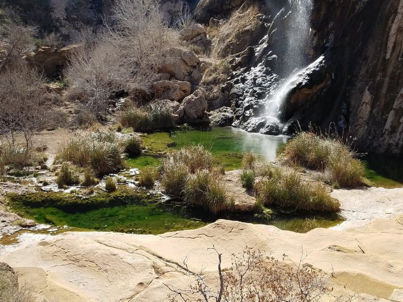 Spring-Fed Water Flowing Through The Desert