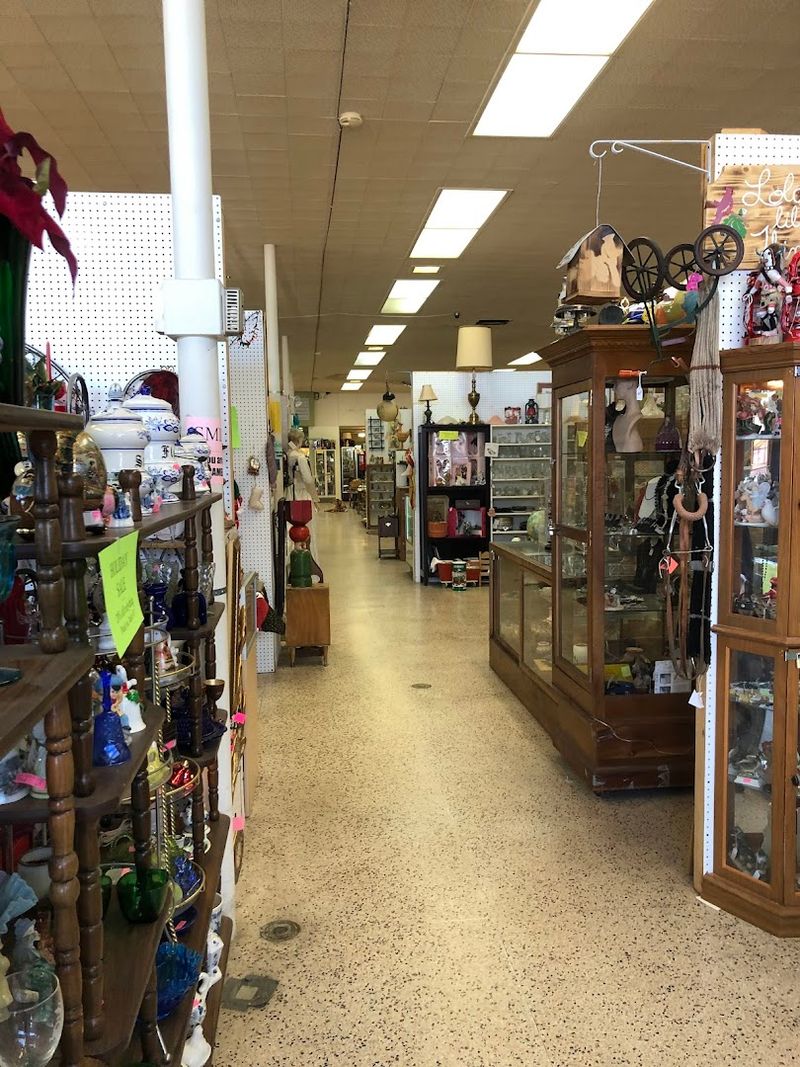Hidden Gems Behind Glass Cases
