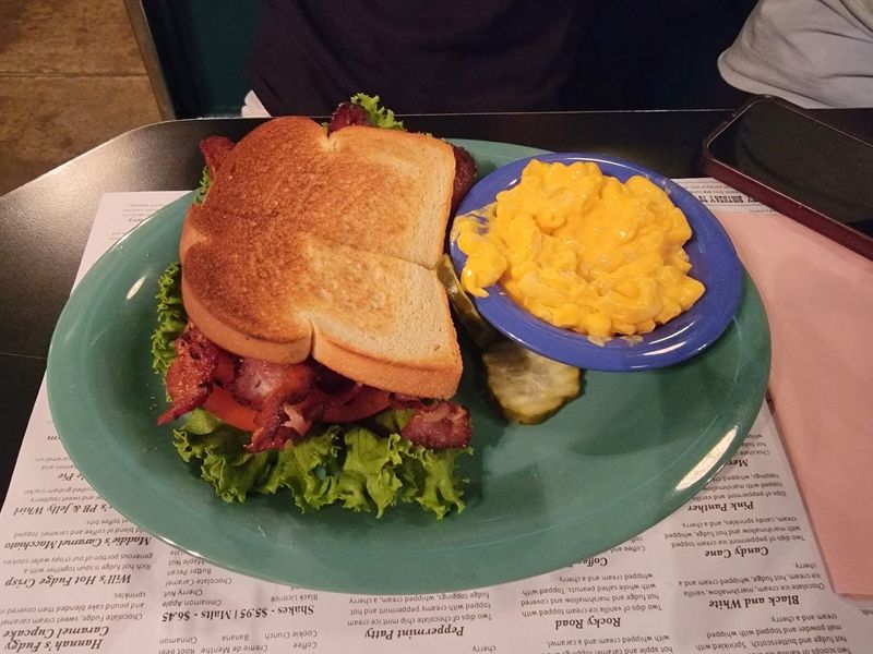 The Burger and Sandwich Options