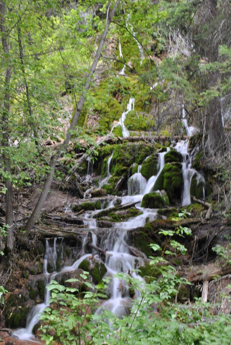 Wildlife And Nature Along The Canyon Path