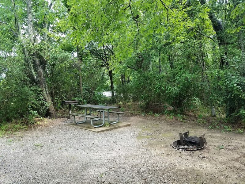 Picnic Spots With Lake Views