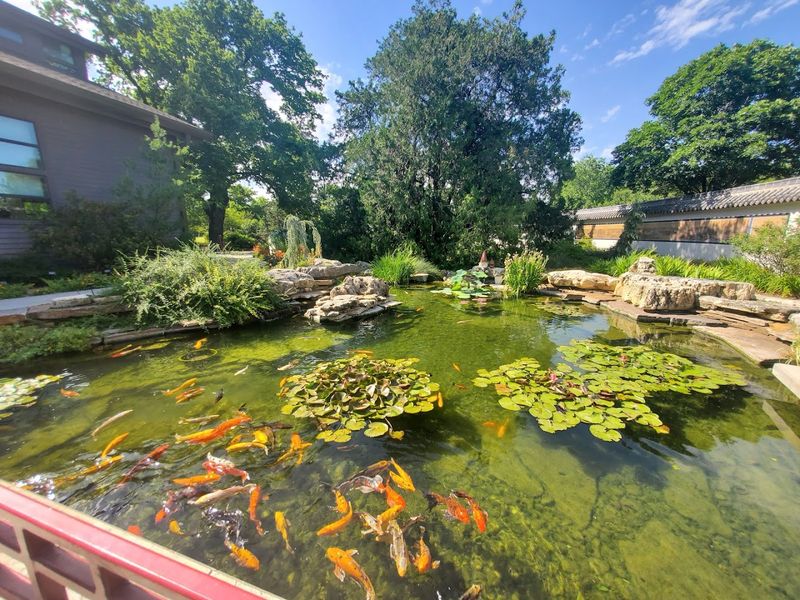 Twenty Acres Of Pure Green Wonderland