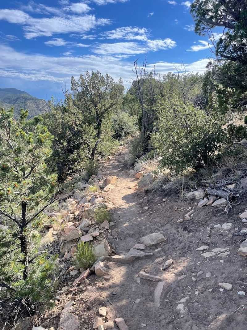 A Quiet Trail Into History