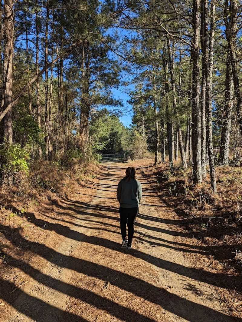 Trail Conditions And Surfaces