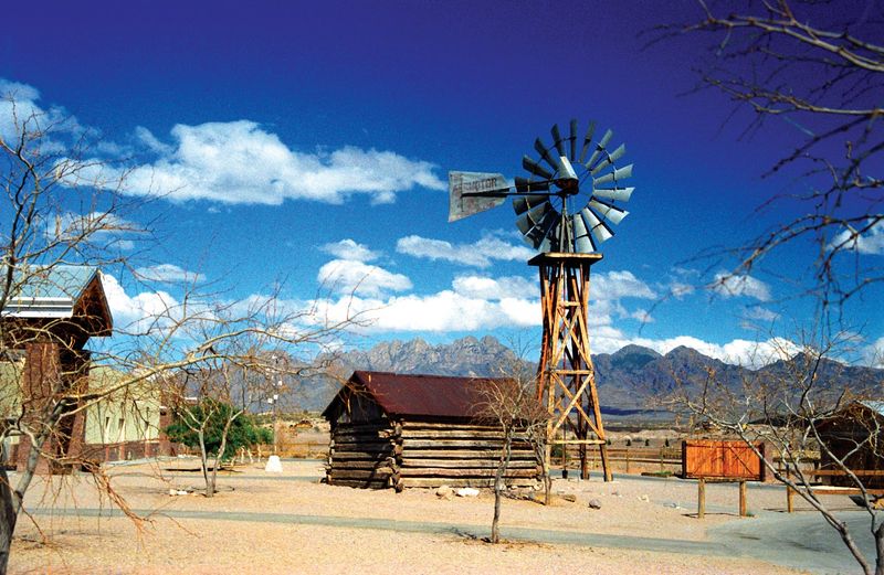 Longhorns Beneath Big Skies