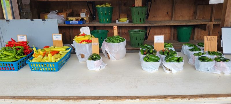 More Than Just Corn