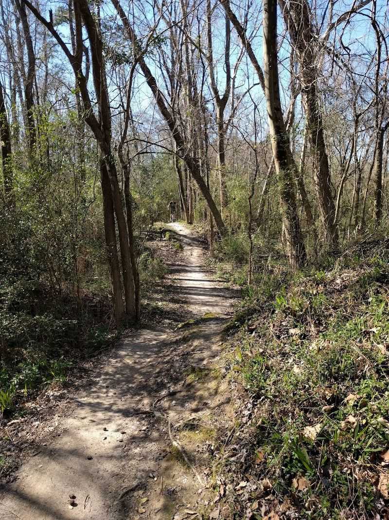 Comite Park Loop