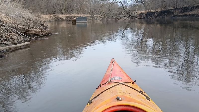 River Life Along the Little Sioux