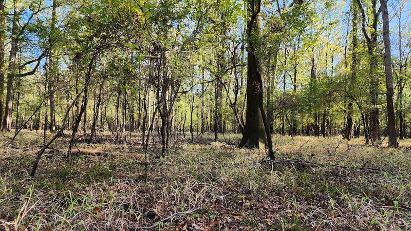 The Wild Heart Of The Refuge