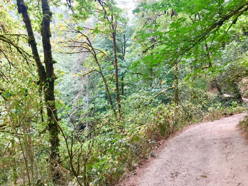 Trail Tips That Actually Make A Difference