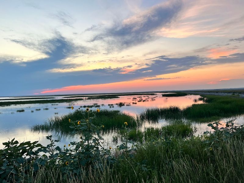 Conservation Challenges And The Future Of The Marsh