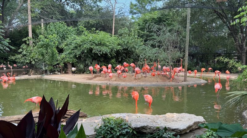 Wildlife Conservation In Action