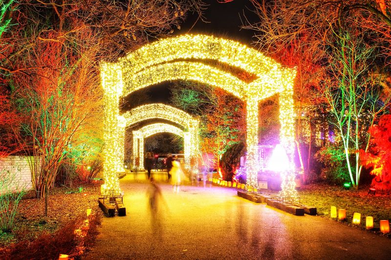 Illuminations Turns The Garden Into A Winter Wonderland