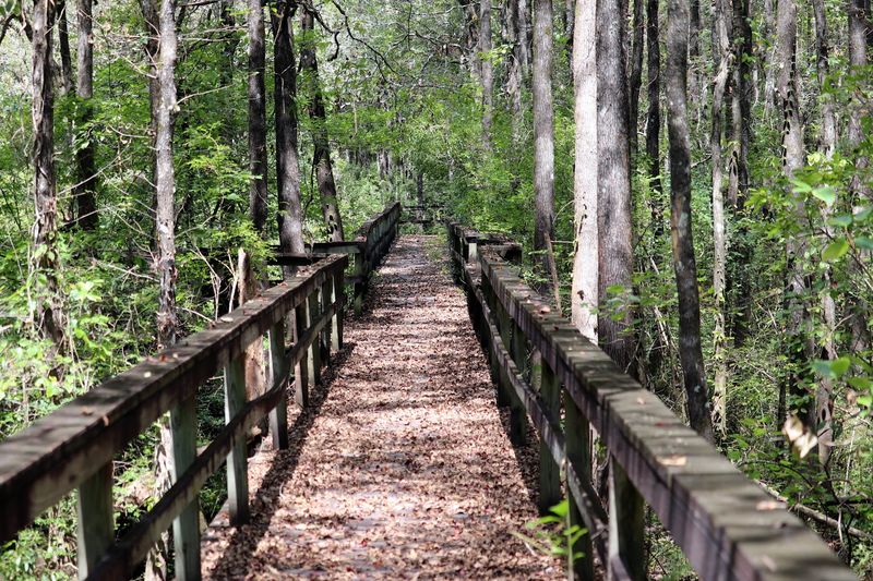 The Nature Trail Loops Around The Entire Lake